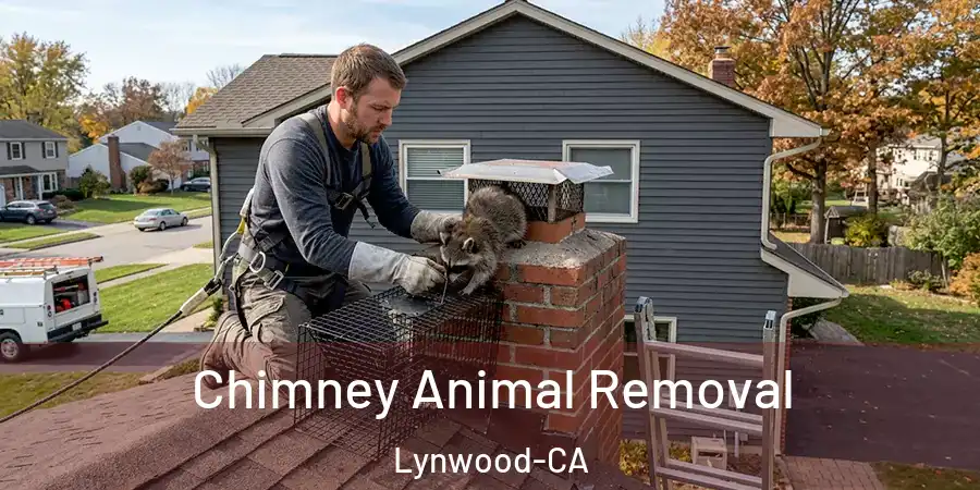  Chimney Animal Removal Lynwood-CA